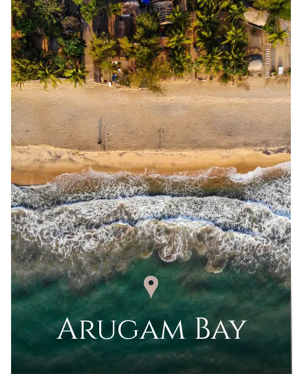 Arugam Bay