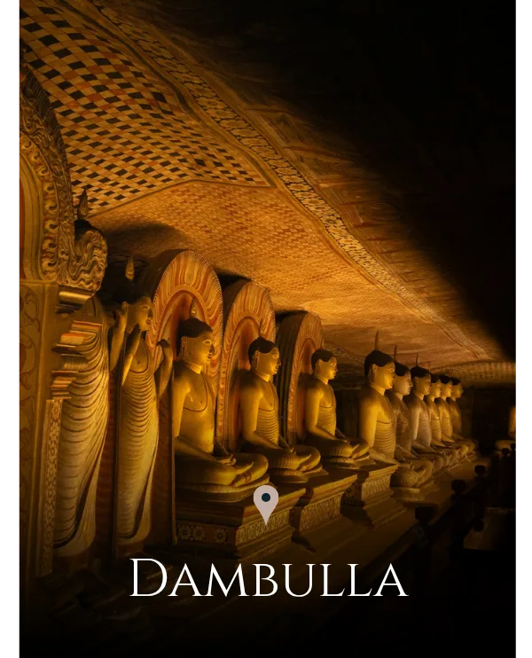 Dambulla