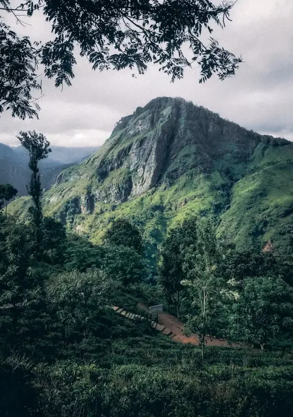 Ella Rock Mountain