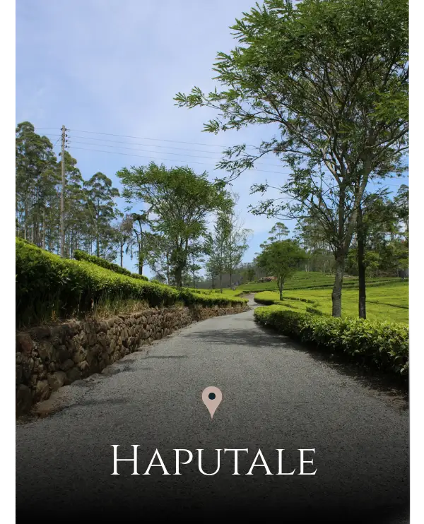 Haputale