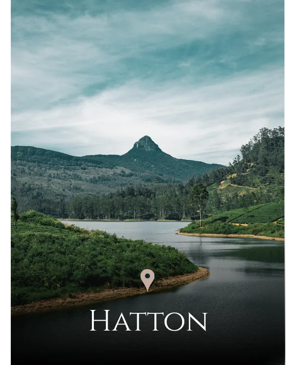 Hatton