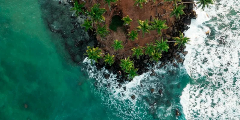 A top-down aerial drone view of Coconut Tree Hill in Mirissa, Sri Lanka, showing green palm trees on red soil surrounded by crashing turquoise waves