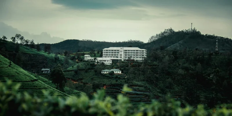 Tea Estate in Nuwara Eliya