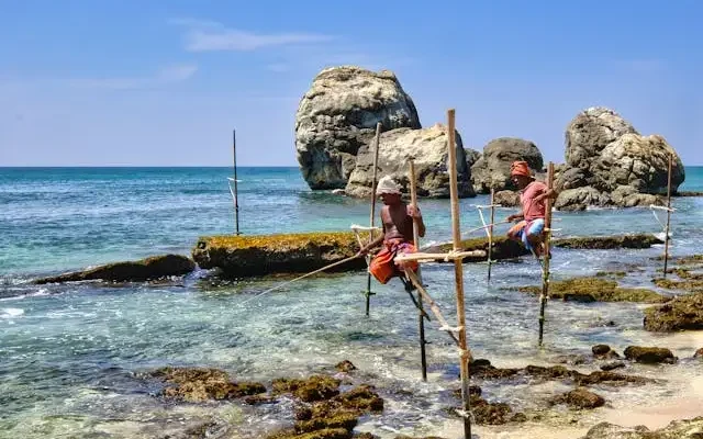 stilt fishing in Weligama