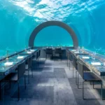 Interior view of a luxury underwater restaurant in the Maldives, showing tables set for dining inside a clear glass tunnel surrounded by blue ocean water.